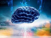 Мозъкът на човека има огромен потенциал и източник на вечна