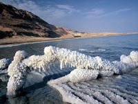 В Мъртво море има потоци от чиста вода и в