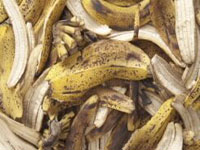 Банановите кори може да се използват за пречистване на водата