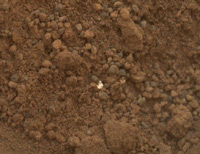 По време на скорошно вземане на проби от марсианската почва
