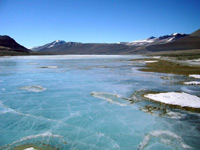 В антарктическото подледено езеро Вида са открити микроорганизми Откриването е