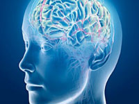 Американски учени създадоха мозъчен имплант за шесто чувство който позволява
