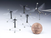 Учени от Харвардския университет създадоха най малкия летящ робот в света