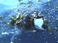 Огромно количество пластмасови отпадъци и фосфорни торове замърсяват океаните се