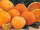 Вреден пестицид по корите на мандарините и портокалите