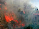 Пожар в Рила близо до хижа Ястребец