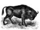 Глава на праисторически бизон на 150 хиляди години откриха  в Арбанашката пещера