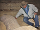 Откриха недокосната гробница с мумии в Египет
