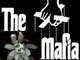 Балканите – медии, мафия и национализъм