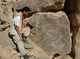 Откриха най-древните скални рисунки в Египет