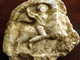 Проучено е светилище на тракийски бог конник  в Троянския балкан